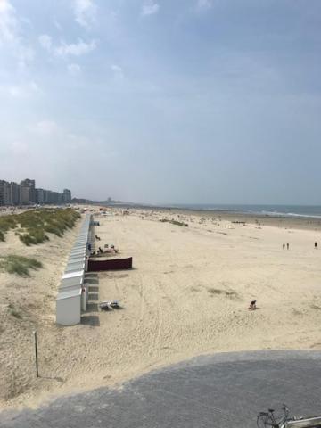 Apollo 1 Lejlighed Nieuwpoort Eksteriør billede