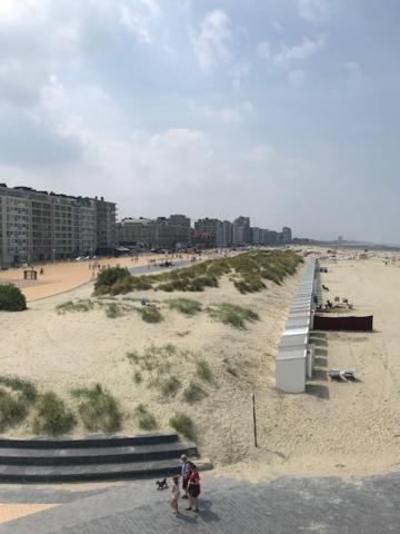 Apollo 1 Lejlighed Nieuwpoort Eksteriør billede